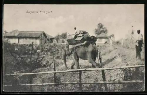 AK Elefant mit Reiter und Gepäck