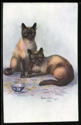 Künstler-AK Zwei Siamesische Katzen mit einer Schale