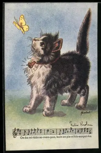 Künstler-AK Kätzchen mit Glocke am Halsband schaut zu einem Schmetterling