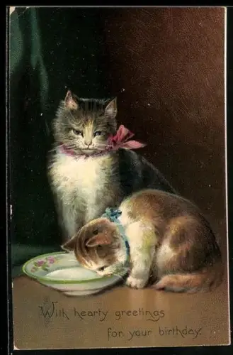 AK With hearty greetings for your birthday, Katzen