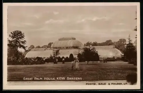 AK London, Kew Gardens, Great Palm House
