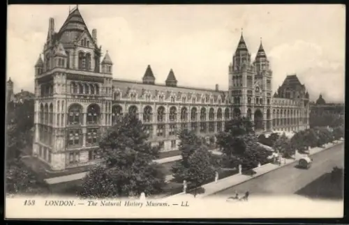 AK London, The Natural History Museum