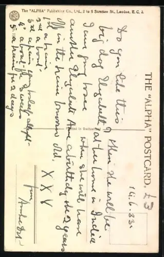 AK Portrait eines Bernhardiner