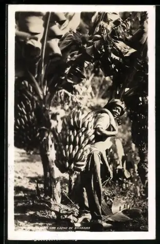 Foto-AK Plantagen-Arbeiter schleppt Bananen