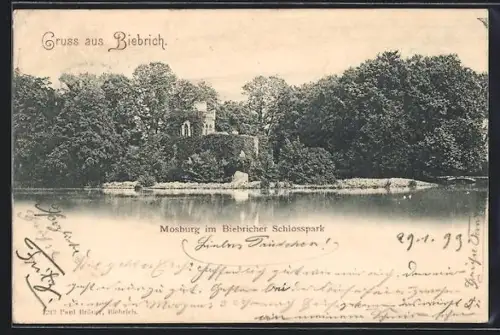 AK Biebrich / Rhein, Mosburg im Biebricher Schlosspark