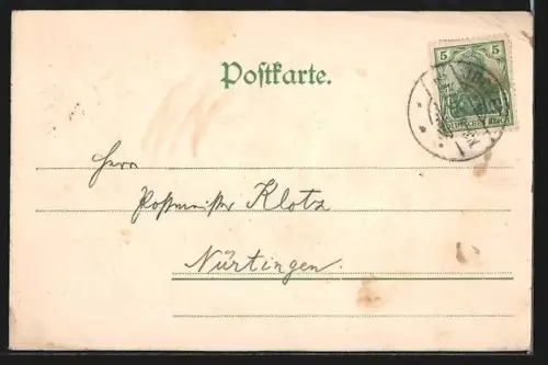 AK Elsterberg i. V., Inneres der Ruine Labdaburg