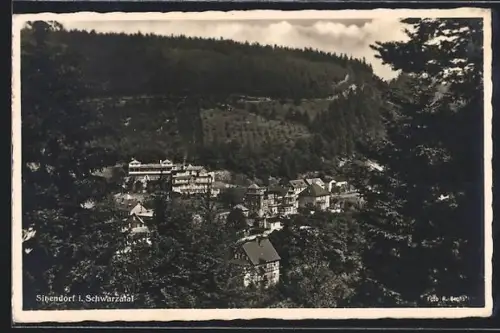 AK Sitzendorf i. Schwarzatal, Ortsansicht umgeben von Bäumen