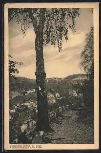 AK Neuenbürg a. d. Enz, Blick auf Stadt und Umgebung
