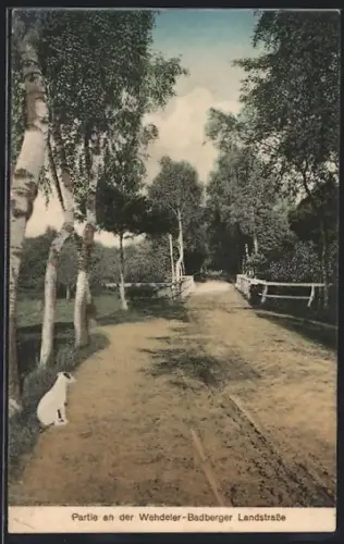 AK Wehdel /Badbergen, Partie an der Wehdeler-Badberger Landstrasse