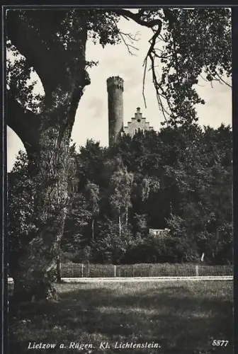 AK Lietzow a. Rügen, Kl. Lichtenstein mit Waldstück