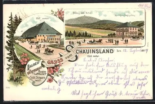 Lithographie Oberried / Breisgau, Halden-Gasthaus Schauinsland, Landhaus Dreyhalden