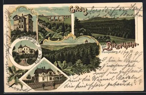 Lithographie Lützelhöhe, Villa Alexandra, Villa Augusta, Villa Helene