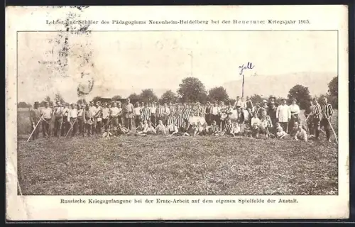 AK Heidelberg /Neckar, Russische Kriegsgefangene bei der Ernte-Arbeit auf dem Spielfeld der Anstalt