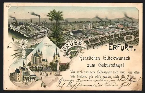 Lithographie Erfurt, Schmidt-Fabriken aus der Vogelschau, Dom & Severikirche, Rathaus