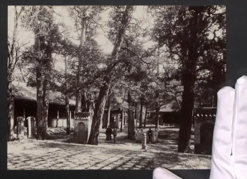 Fotografie Ansicht Tsingtau, alte Tempelanlage, Chinese zeigt Europäer die Tempelanlage, Grossformat 25 x 19cm