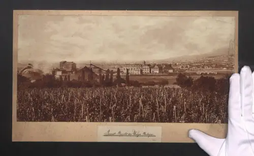 Fotografie Ansicht Pécs, Blick auf die Uszögi Anlage von den Weinreben aus gesehen