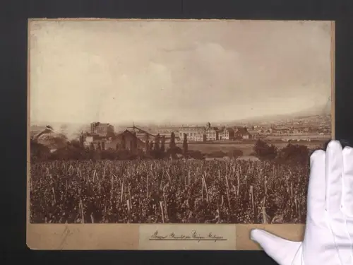 Fotografie Ansicht Pécs, die Üszögi Anlagen mit Blick zur Stadt, Grossformat 40 x 29cm