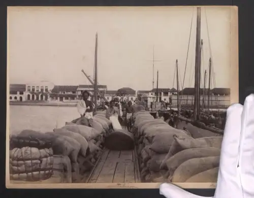 Fotografie Ansicht Thoothukudi, Einwohner als Hafenarbeiter am Hafen, Rückseite die Servarayan Hills, 29 x 23cm