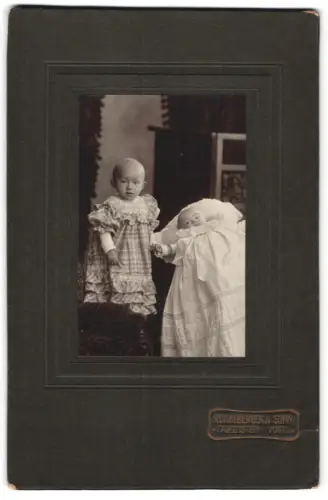 Fotografie Ronneberger & Sohn, Falkenstein, Geschwister Hopf als kleine Kinder