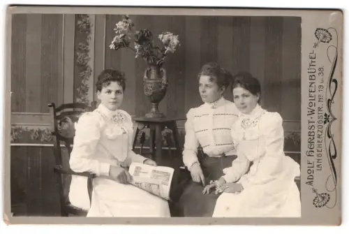 Fotografie Adolf Herbst, Wolfenbüttel, Lange Herzogstrasse 19, drei Damen in eleganter Kleidung