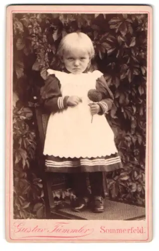 Fotografie Gustav Tümmler, Sommerfeld, Kleines Kind mit Blume