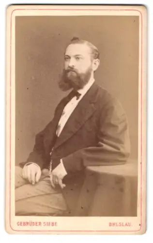 Fotografie Gebrüder Siebe, Breslau, Neue Taschenstrasse 1, Porträt eines Herrn mit Bart