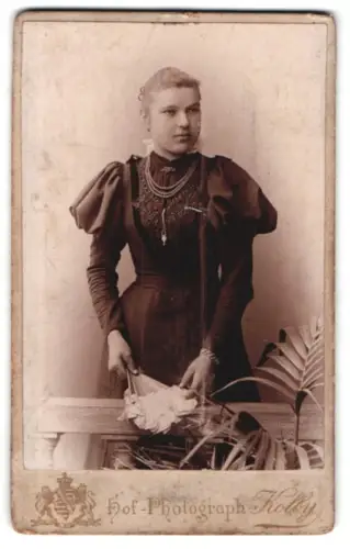 Fotografie Kolby, Zwickau, Plauensche Strasse 17, Dame mit elegantem Kleid