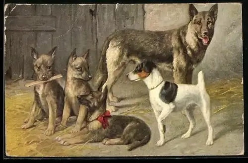 AK Schäferhund mit Jungen und ein Jack Russell Terrier