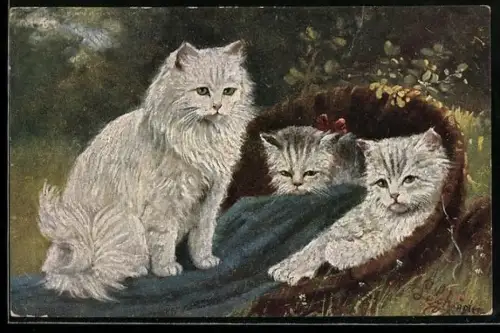 AK Drei Katzen mit Korb und Decke