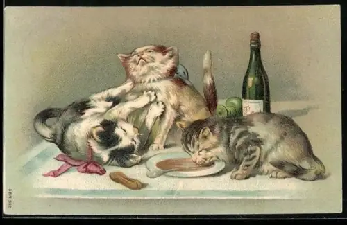 Präge-AK Drei Katzen auf einem Esstisch mit Resten