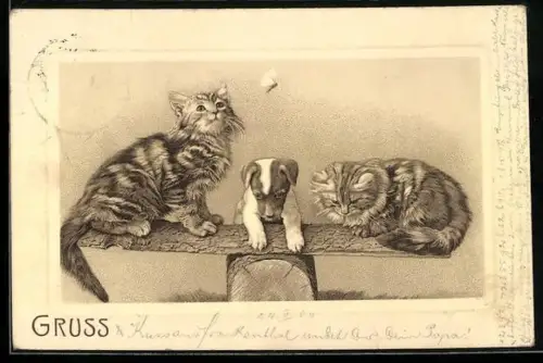 AK Zwei Katzen mit Hundewelpe auf einer Wippe, fliegender Schmetterling
