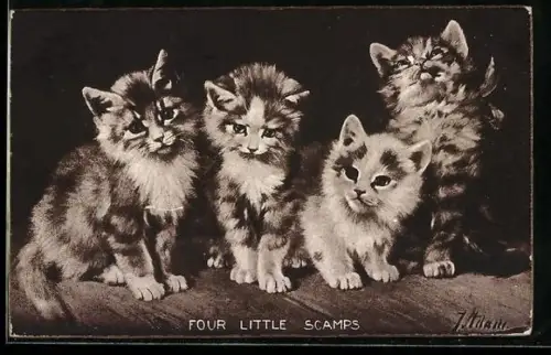 AK Four Little Scamps, Katzenkinder
