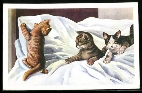AK Drei junge Katzen in einem Bett