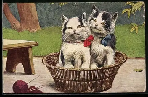 AK Katzenkinder im Körbchen mit Strickzeug im Grünen