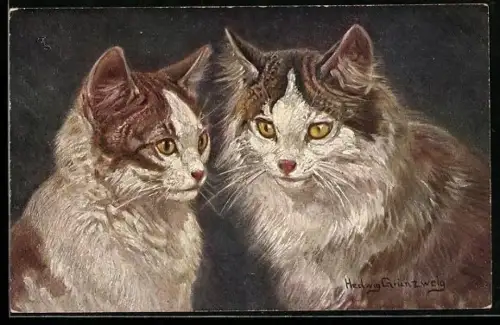 AK Zwei Katzen mit ernstem Blick, Portrait