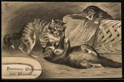 AK Drei Katzen spielen neben einem Korb, Geburtstagsgruss