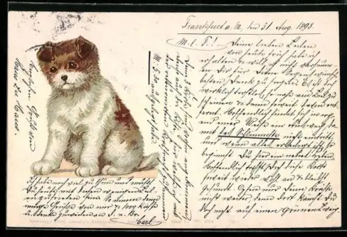 Lithographie Kleiner Hund mit Schlappohren, Portrait