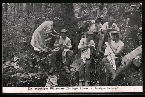AK Die bayr. Löwen in lausiger Stellung, Soldaten, Entlausung