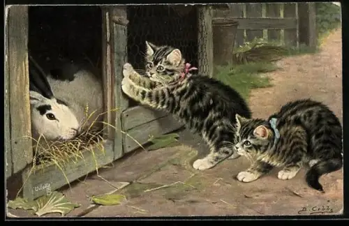 AK Kaninchen im Stall bekommt Besuch von Katzen