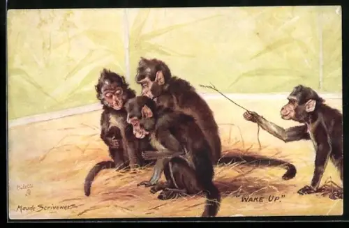 AK Wake up, Affe kitzelt Gefährten