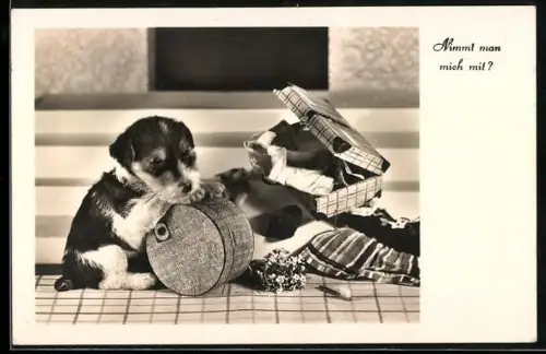AK Nimmt man mich mit?, Terrierwelpe mit Reisegepäck