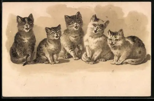 Präge-Lithographie Fünf aufgeweckte Katzenkinder in einer Reihe