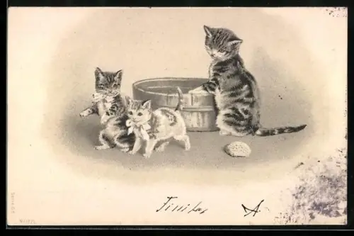 Präge-Lithographie Katzenmutter und Kätzchen am Waschzuber