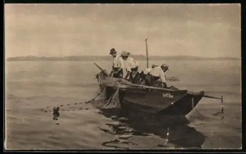 AK Bodensee, Felchenfänger ziehen das Netz ein