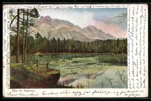 AK Nixe im Badersee
