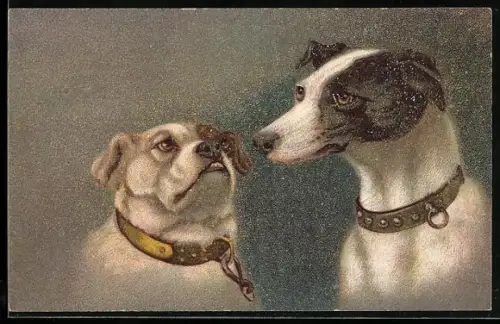 AK Mops blickt zu seinem Hundefreund