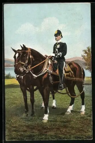 AK Driver Army Service Corps and Draught Horses