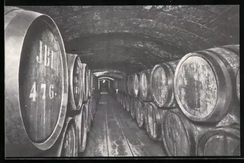 AK San Sadurni de Noya, Casa Codorniu, Vinos en crianza, Wein