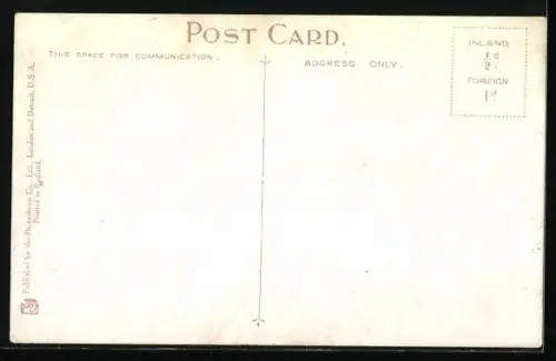 AK View on Ceylon Tea Estate