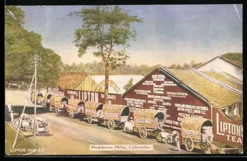 AK Colombo, Maddema Mills, Lipton Tee-Fabrik, Lipton Series
